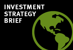 Stifel Investment Strategy Brief